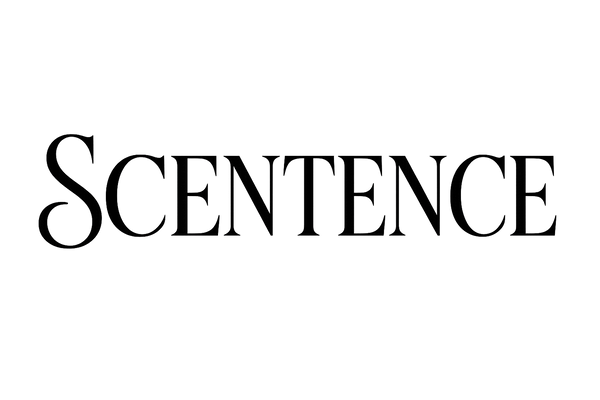 "SCENTENCE" in luxury font, no background, only wording